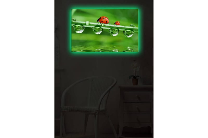 Canvasmålning Dekorativ LED-belysning - Flerfärgad - Inredning - Tavlor & posters - Canvastavla