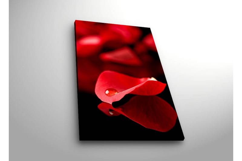 Canvasmålning Dekorativ LED-belysning - Flerfärgad - Inredning - Tavlor & posters - Canvastavla