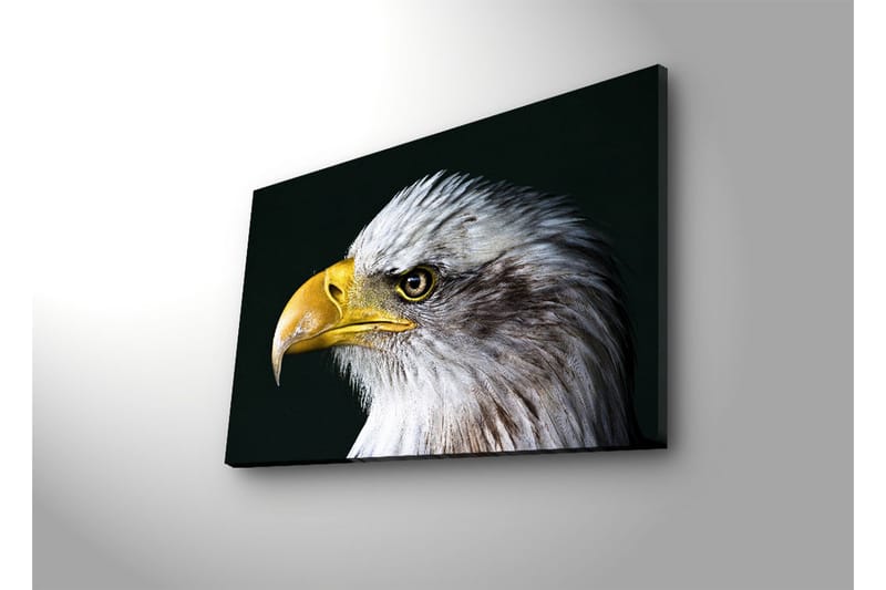 Canvasmålning Dekorativ LED-belysning - Flerfärgad - Inredning - Tavlor & posters - Canvastavla