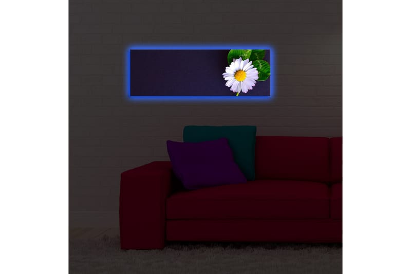 Canvasmålning Dekorativ LED-belysning - Flerfärgad - Canvastavla