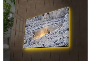 Canvasmålning Dekorativ LED-belysning - Flerfärgad - Inredning - Tavlor & posters - Canvastavla