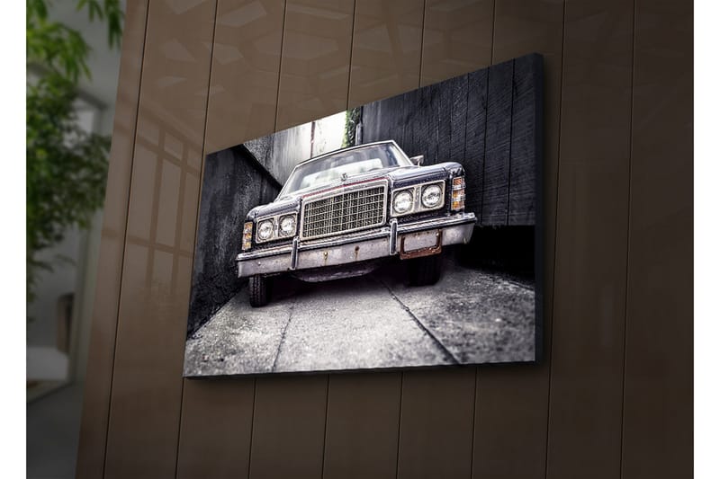 Canvasmålning Dekorativ LED-belysning - Flerfärgad - Inredning - Tavlor & posters - Canvastavla