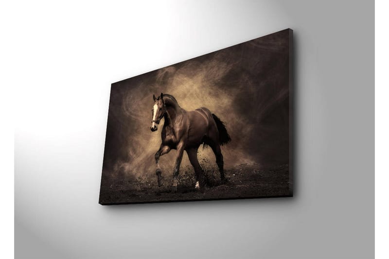 Canvasmålning Dekorativ LED-belysning - Flerfärgad - Inredning - Tavlor & posters - Canvastavla