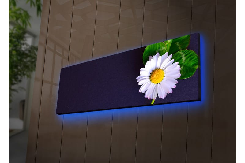 Canvasmålning Dekorativ LED-belysning - Flerfärgad - Inredning - Tavlor & posters - Canvastavla