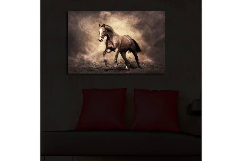 Canvasmålning Dekorativ LED-belysning - Flerfärgad - Inredning - Tavlor & posters - Canvastavla
