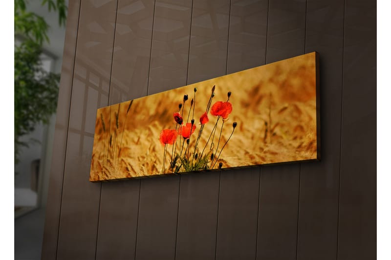 Canvasmålning Dekorativ LED-belysning - Flerfärgad - Inredning - Tavlor & posters - Canvastavla
