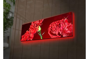 Canvasmålning Dekorativ LED-belysning - Flerfärgad - Inredning - Tavlor & posters - Canvastavla