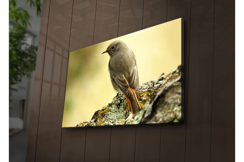Canvasmålning Dekorativ LED-belysning - Flerfärgad - Inredning - Tavlor & posters - Canvastavla