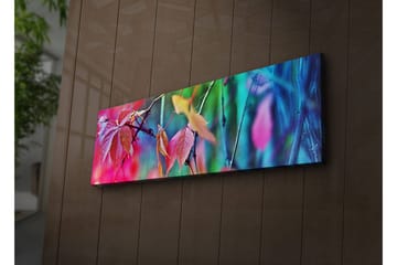 Canvasmålning Dekorativ LED-belysning - Flerfärgad - Inredning - Tavlor & posters - Canvastavla