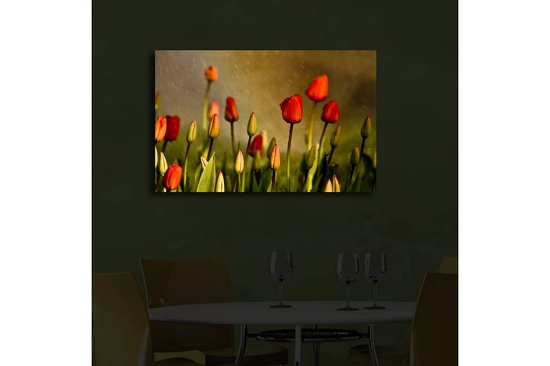 Canvasmålning Dekorativ LED-belysning - Flerfärgad - Inredning - Tavlor & posters - Canvastavla