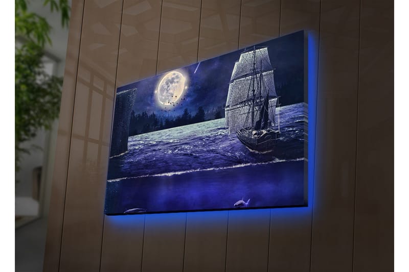 Canvasmålning Dekorativ LED-belysning - Flerfärgad - Inredning - Tavlor & posters - Canvastavla