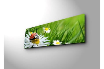 Canvasmålning Dekorativ LED-belysning - Flerfärgad - Inredning - Tavlor & posters - Canvastavla