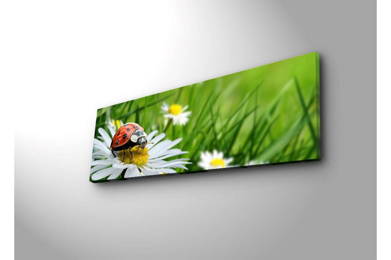 Canvasmålning Dekorativ LED-belysning - Flerfärgad - Inredning - Tavlor & posters - Canvastavla
