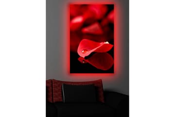 Canvasmålning Dekorativ LED-belysning - Flerfärgad - Inredning - Tavlor & posters - Canvastavla