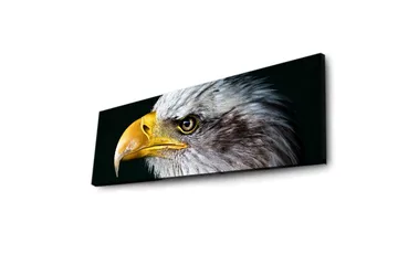 Canvasmålning Dekorativ LED-belysning - Flerfärgad - Inredning - Tavlor & posters - Canvastavla