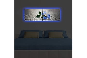 Canvasmålning Dekorativ LED-belysning - Flerfärgad - Inredning - Tavlor & posters - Canvastavla