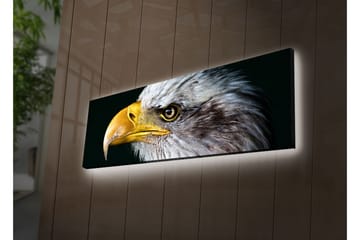 Canvasmålning Dekorativ LED-belysning - Flerfärgad - Inredning - Tavlor & posters - Canvastavla