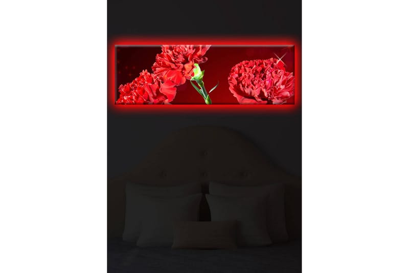 Canvasmålning Dekorativ LED-belysning - Flerfärgad - Inredning - Tavlor & posters - Canvastavla