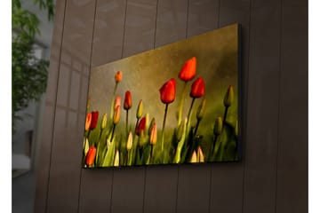 Canvasmålning Dekorativ LED-belysning - Flerfärgad - Inredning - Tavlor & posters - Canvastavla
