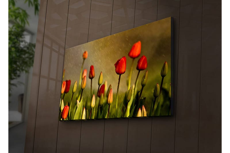 Canvasmålning Dekorativ LED-belysning - Flerfärgad - Inredning - Tavlor & posters - Canvastavla