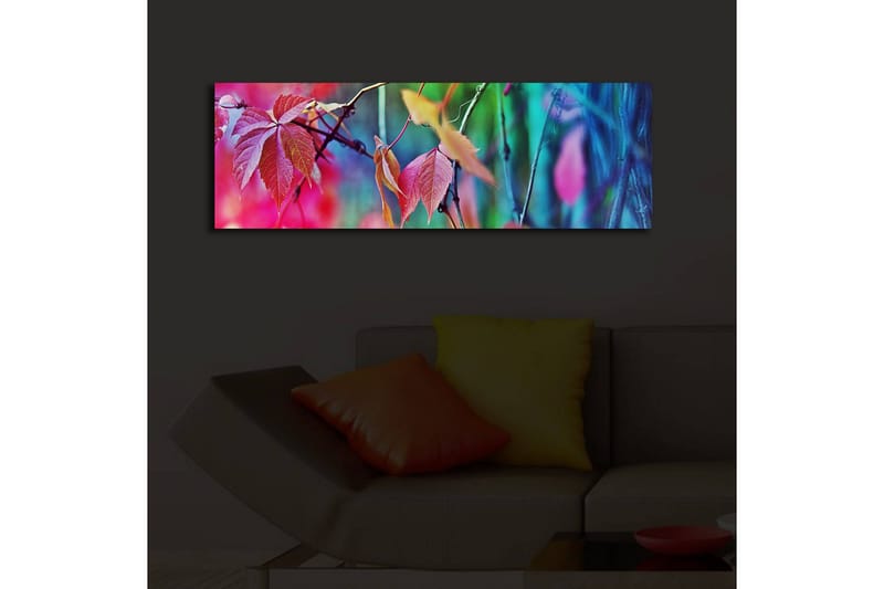 Canvasmålning Dekorativ LED-belysning - Flerfärgad - Inredning - Tavlor & posters - Canvastavla