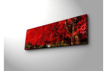 Canvasmålning Dekorativ LED-belysning - Flerfärgad - Inredning - Tavlor & posters - Canvastavla