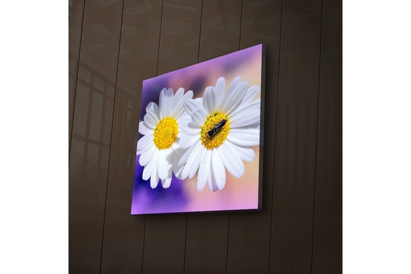 Canvasmålning Dekorativ LED-belysning - Flerfärgad - Inredning - Tavlor & posters - Canvastavla