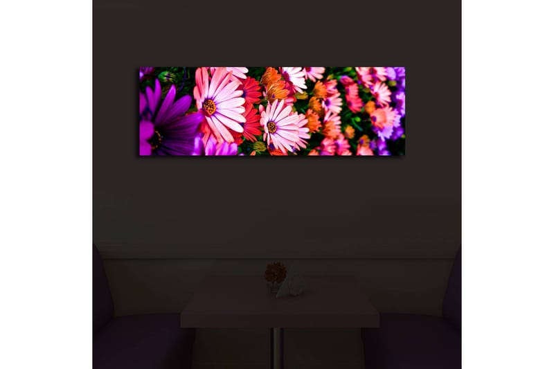Canvasmålning Dekorativ LED-belysning - Flerfärgad - Inredning - Tavlor & posters - Canvastavla