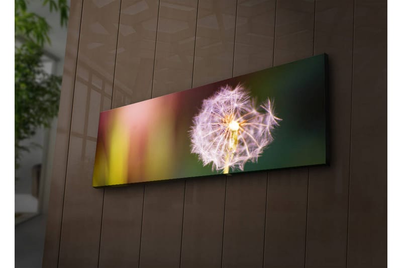 Canvasmålning Dekorativ LED-belysning - Flerfärgad - Inredning - Tavlor & posters - Canvastavla