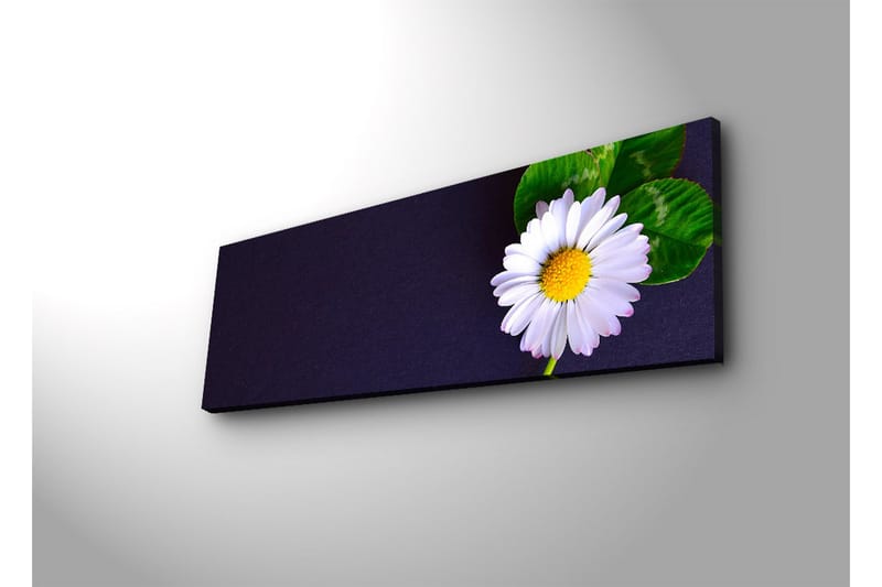 Canvasmålning Dekorativ LED-belysning - Flerfärgad - Inredning - Tavlor & posters - Canvastavla