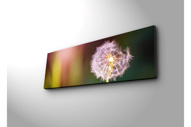 Canvasmålning Dekorativ LED-belysning - Flerfärgad - Inredning - Tavlor & posters - Canvastavla