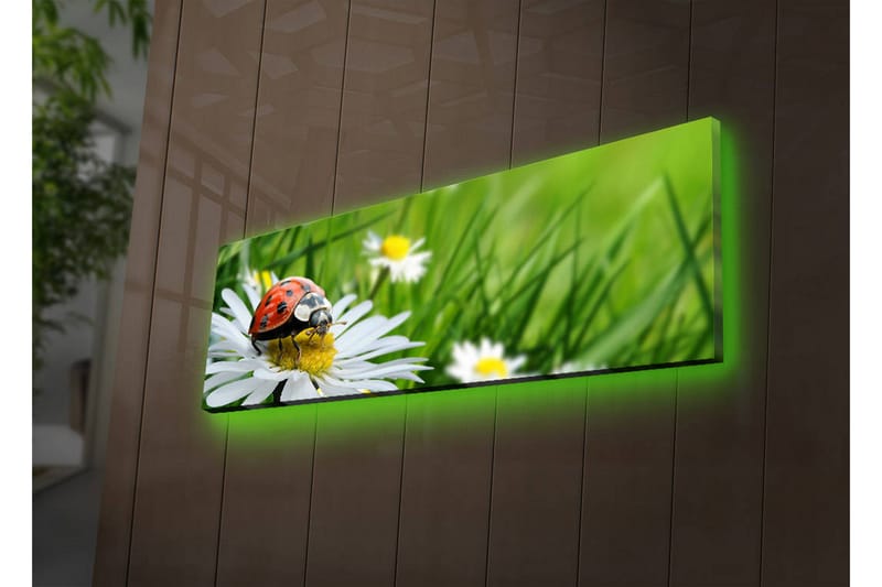 Canvasmålning Dekorativ LED-belysning - Flerfärgad - Inredning - Tavlor & posters - Canvastavla