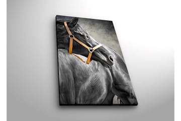 Canvasmålning Dekorativ LED-belysning - Flerfärgad - Inredning - Tavlor & posters - Canvastavla
