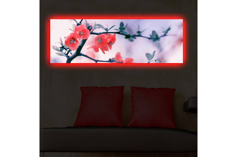 Canvasmålning Dekorativ LED-belysning - Flerfärgad - Inredning - Tavlor & posters - Canvastavla