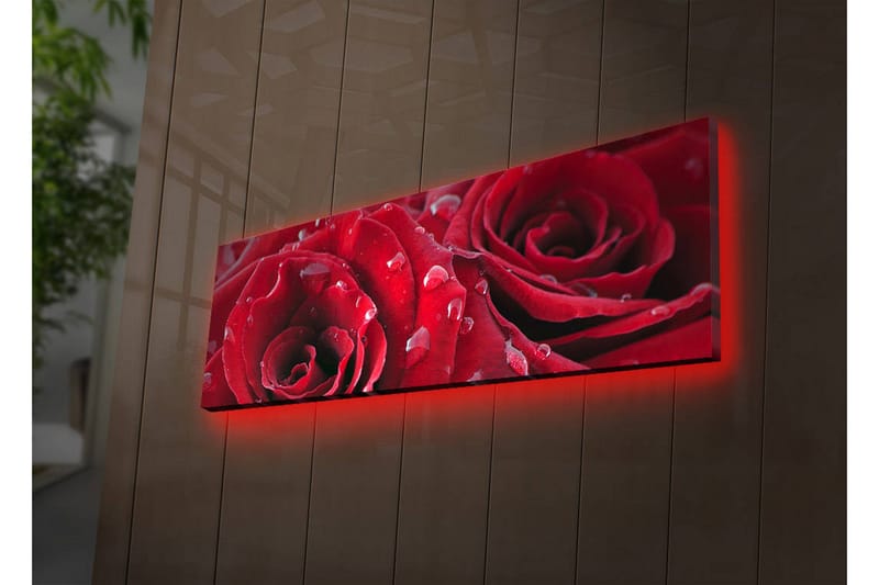 Canvasmålning Dekorativ LED-belysning - Flerfärgad - Inredning - Tavlor & posters - Canvastavla