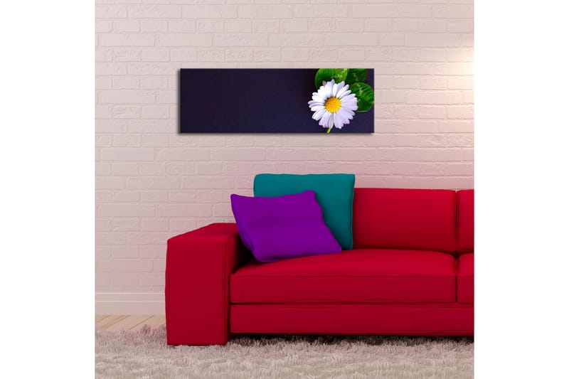 Canvasmålning Dekorativ LED-belysning - Flerfärgad - Inredning - Tavlor & posters - Canvastavla