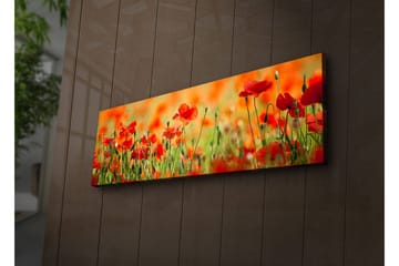 Canvasmålning Dekorativ LED-belysning - Flerfärgad - Inredning - Tavlor & posters - Canvastavla