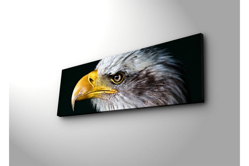 Canvasmålning Dekorativ LED-belysning - Flerfärgad - Inredning - Tavlor & posters - Canvastavla