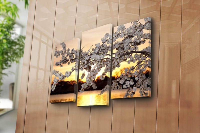 Canvastavla 3-pack Flerfärgad - 20x39 cm - Inredning - Tavlor & posters - Canvastavla