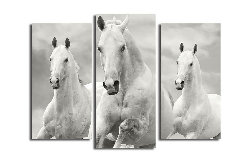 Canvastavla 3-pack Flerfärgad - 20x39 cm - Inredning - Tavlor & posters - Canvastavla