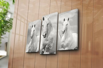 Canvastavla 3-pack Flerfärgad - 20x39 cm - Inredning - Tavlor & posters - Canvastavla