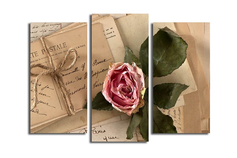 Canvastavla 3-pack Flerfärgad - 20x39 cm - Inredning - Tavlor & posters - Canvastavla
