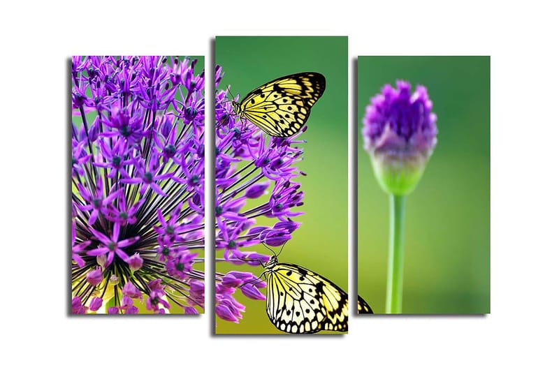 Canvastavla 3-pack Flerfärgad - 20x39 cm - Inredning - Tavlor & posters - Canvastavla