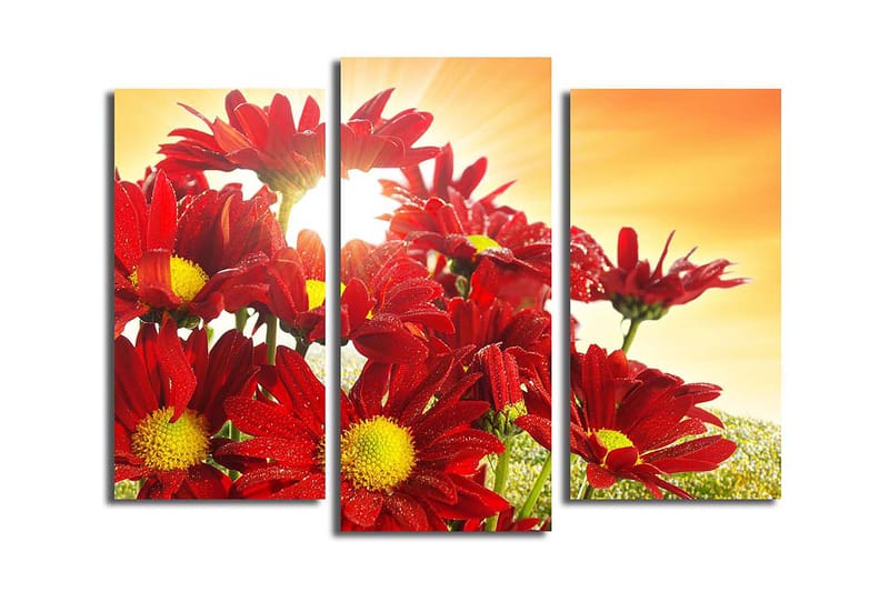 Canvastavla 3-pack Flerfärgad - 20x39 cm - Inredning - Tavlor & posters - Canvastavla