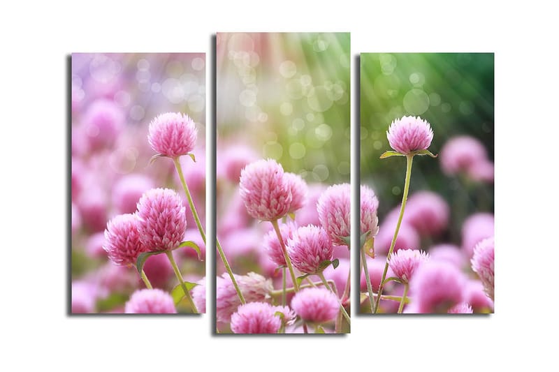 Canvastavla 3-pack Flerfärgad - 20x39 cm - Inredning - Tavlor & posters - Canvastavla