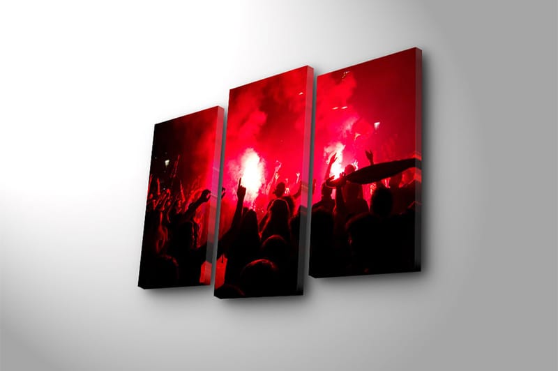 Canvastavla 3-pack Flerfärgad - 20x39 cm - Inredning - Tavlor & posters - Canvastavla