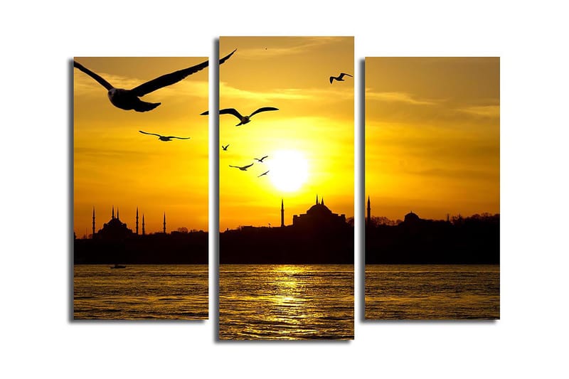 Canvastavla 3-pack Flerfärgad - 20x39 cm - Inredning - Tavlor & posters - Canvastavla