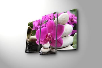 Canvastavla 3-pack Flerfärgad - 20x39 cm - Inredning - Tavlor & posters - Canvastavla