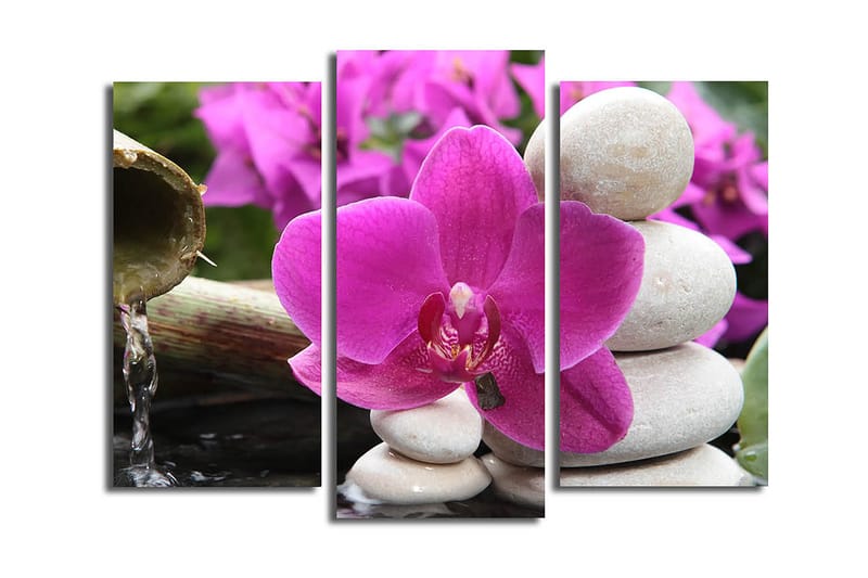 Canvastavla 3-pack Flerfärgad, 20x39 cm