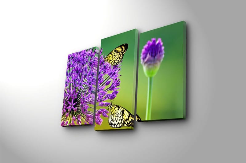 Canvastavla 3-pack Flerfärgad - 20x39 cm - Inredning - Tavlor & posters - Canvastavla